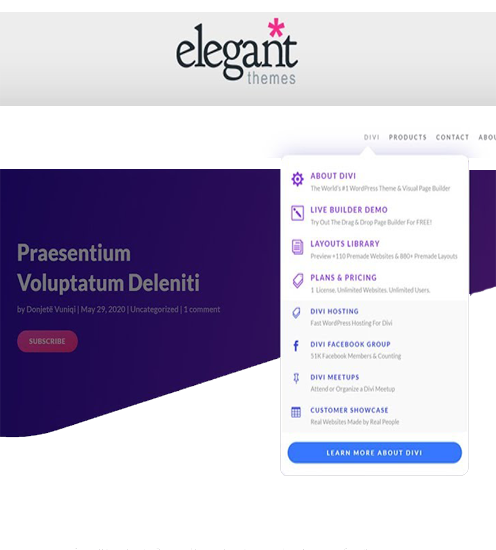 BGD - wordpress plugins